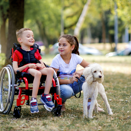Boy in wheelchair playing with his sister and dog in the park.
